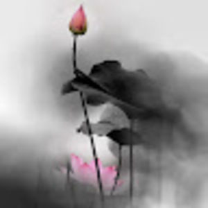 Meet your Posher, Yan